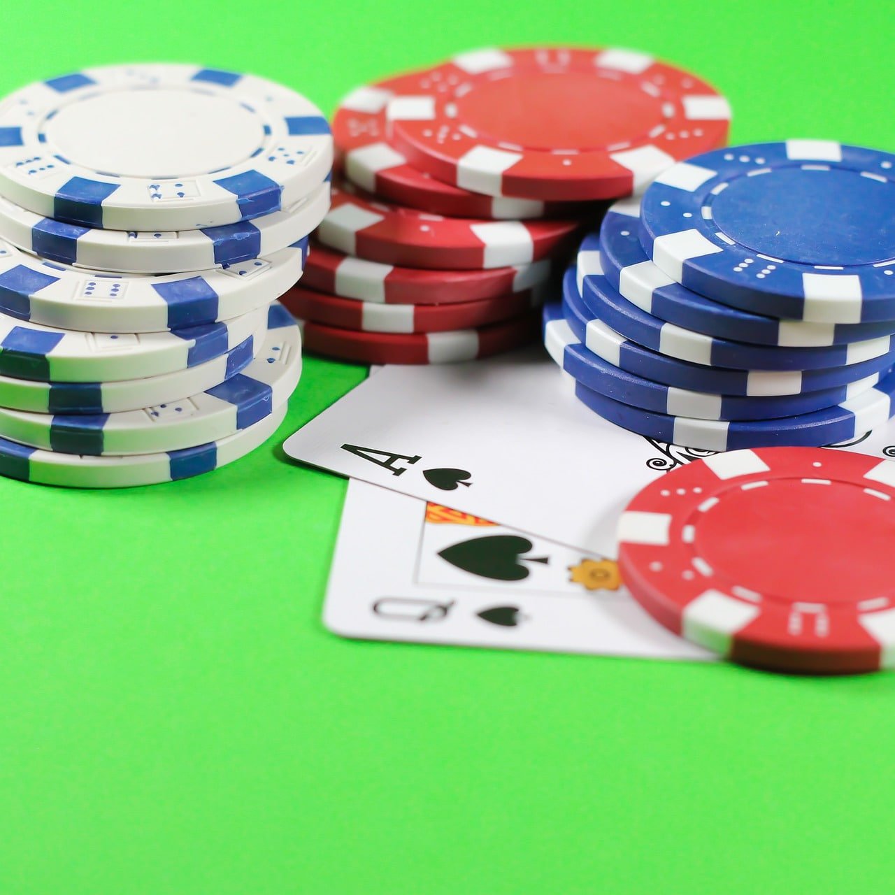556bet