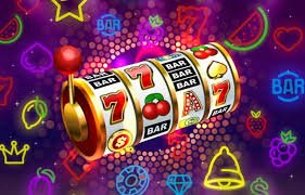 556bet