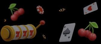 556bet