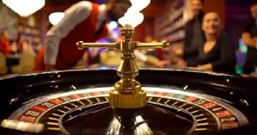 556bet Live Casino