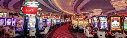 556bet