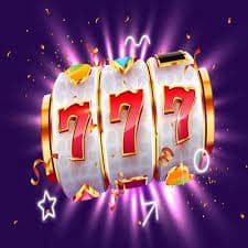 556bet