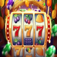 556bet