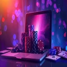 556bet