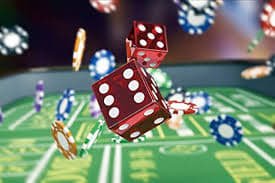 556bet