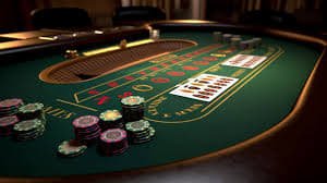 556bet