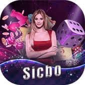 556bet